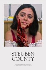 Nonton Film Steuben County (2020) Subtitle Indonesia