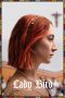 Nonton Film Lady Bird (2017) Subtitle Indonesia
