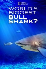 Nonton Film World’s Biggest Bull Shark? (2021) Subtitle Indonesia
