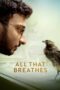 Nonton Film All That Breathes (2022) Subtitle Indonesia